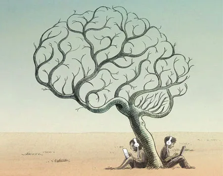 旨在提供顶级外观 - 美加墨世界杯赛程